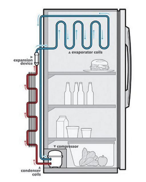 the refrigeration system of the fridge